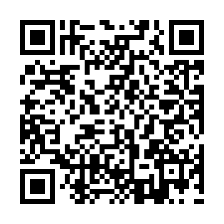 QR code for ZCY9729