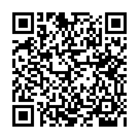 QR code for ZDK6611