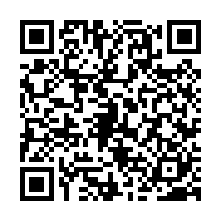 QR code for ZDN0209