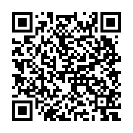 QR code for ZDP601