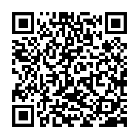 QR code for ZDX029