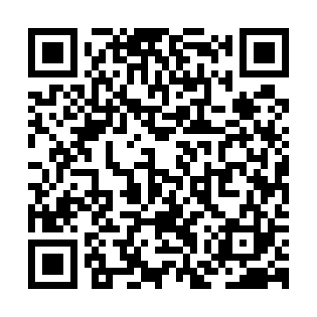QR code for ZGU523