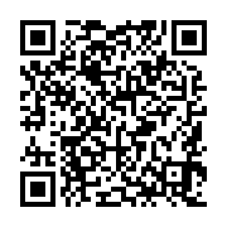 QR code for ZHI891