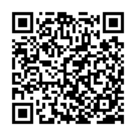 QR code for ZII785