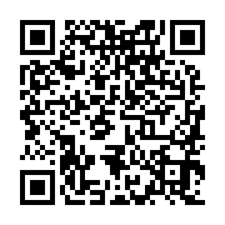 QR code for ZIK9913