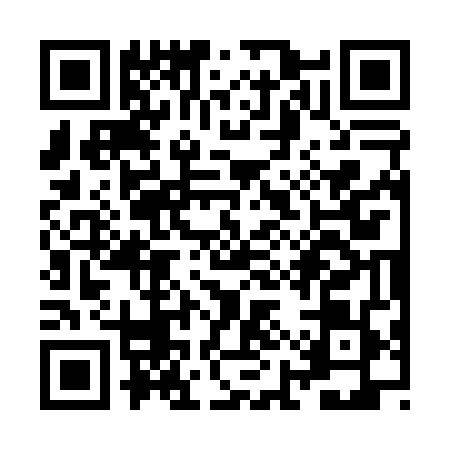 QR code for ZIS0491