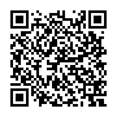 QR code for ZLS119