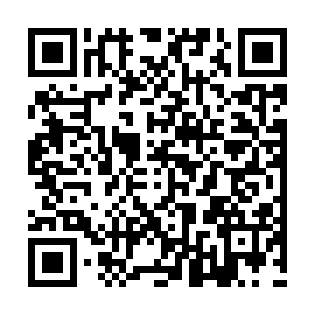 QR code for ZLV9166
