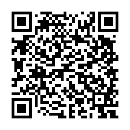 QR code for ZMJ481