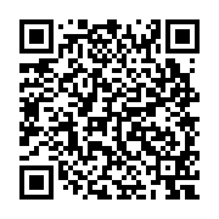 QR code for ZNO391
