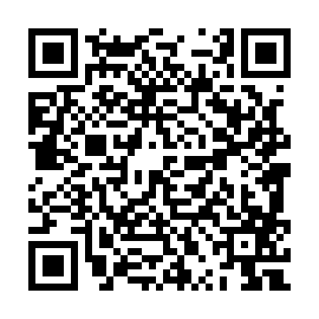 QR code for ZPL1876