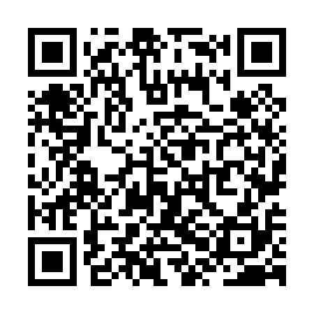 QR code for ZPN010