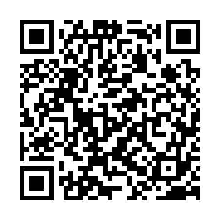 QR code for ZPV373