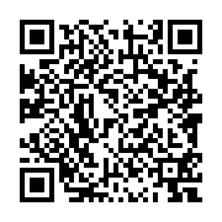 QR code for ZQL1101