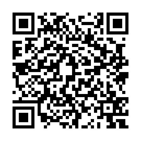 QR code for ZQY0370