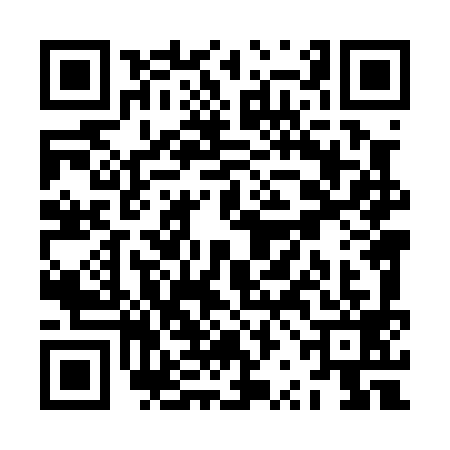 QR code for ZRL0991