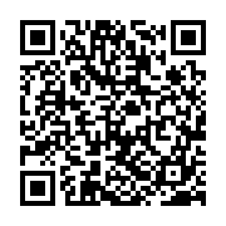 QR code for ZRL377