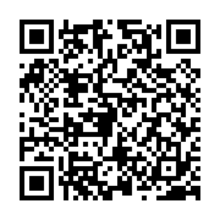 QR code for ZSG0333