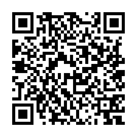 QR code for ZSG9704