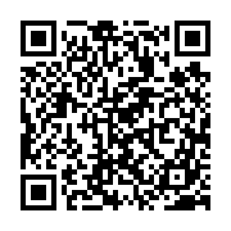 QR code for ZST667