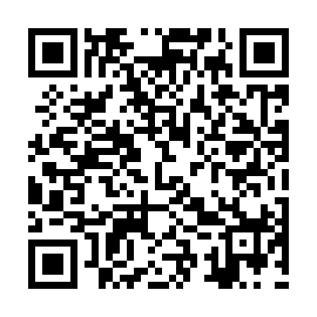 QR code for ZST998