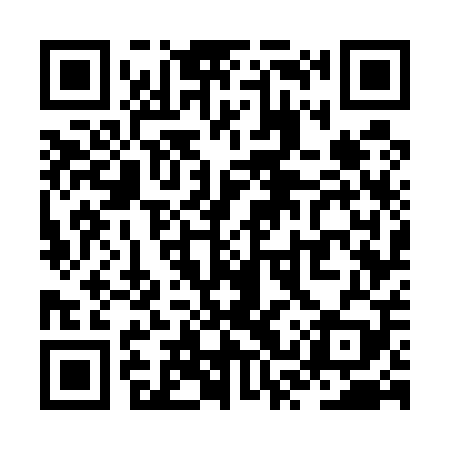 QR code for ZSW509