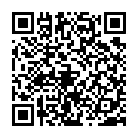 QR code for ZTI6996