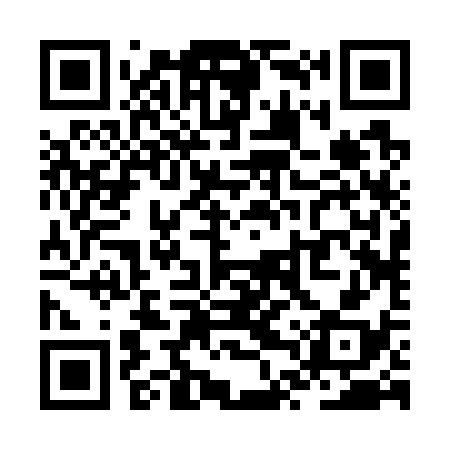 QR code for ZTR738