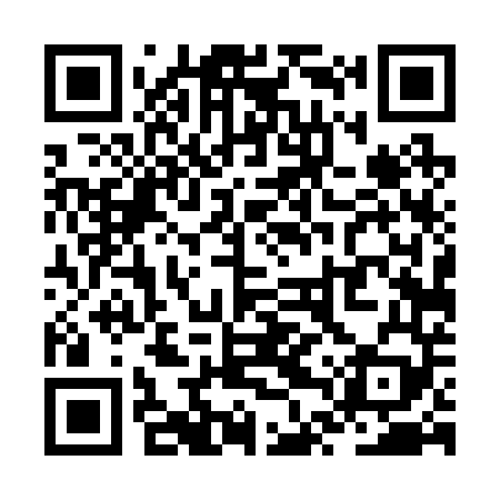 QR code for ZTT249