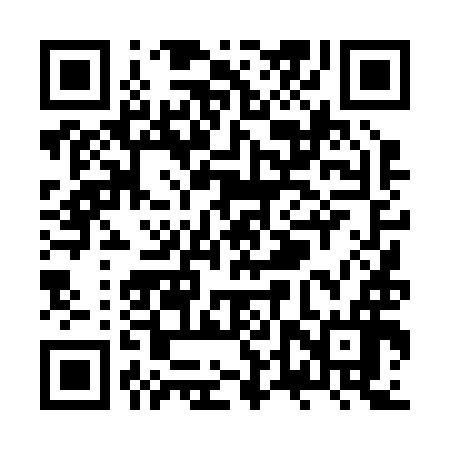 QR code for ZTT296