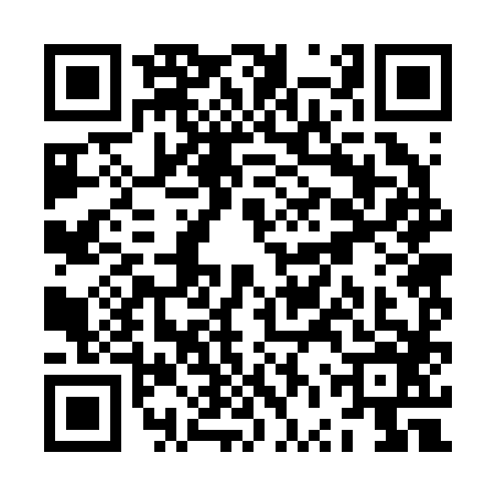 QR code for ZVR2863