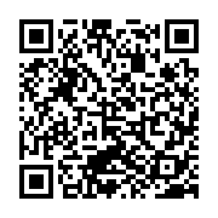 QR code for ZXF378