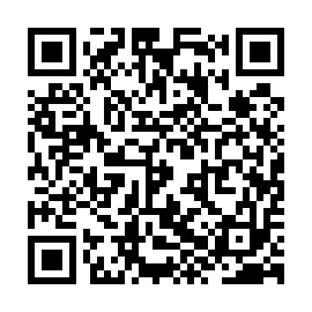 QR code for ZXQ513