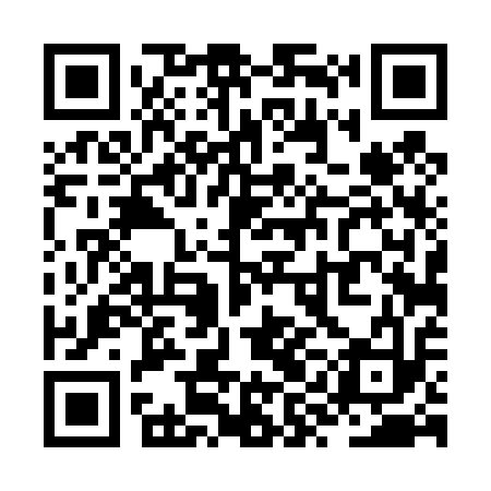 QR code for ZYD413