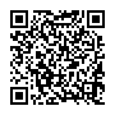 QR code for ZYE250