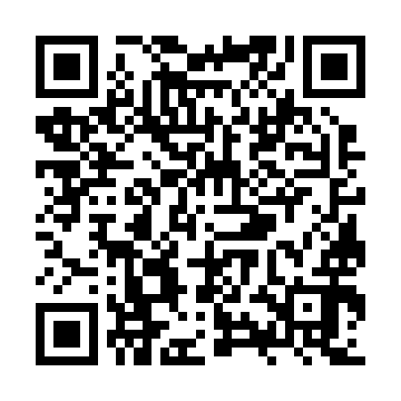 QR code for ZYG292