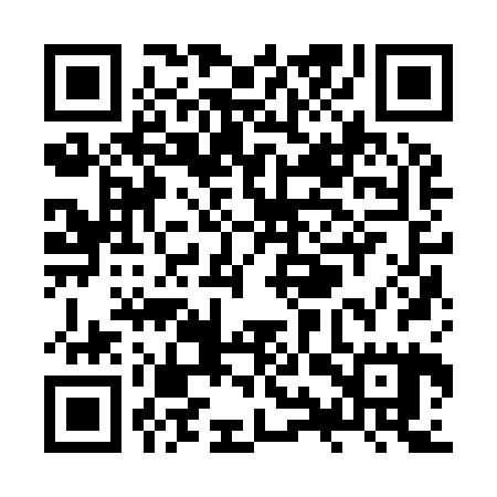 QR code for ZYZ925