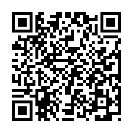 QR code for ZZJ3991