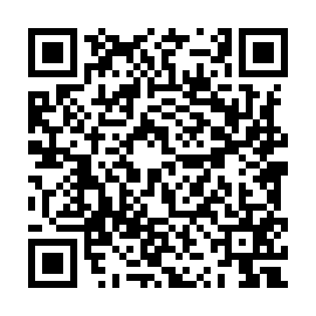 QR code for ZZL9555