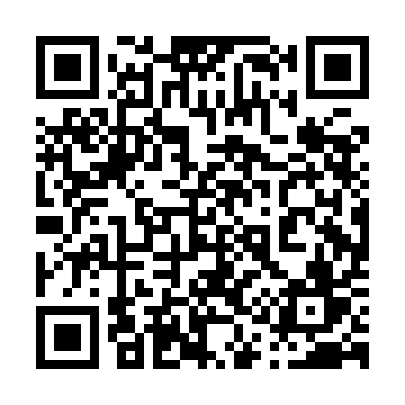 QR code for 010IAV