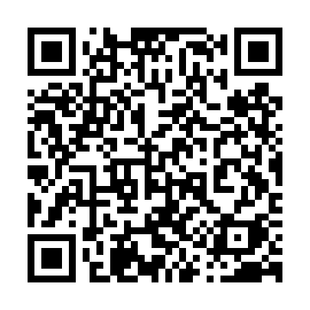 QR code for 013DSI