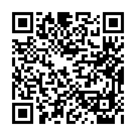 QR code for 029PDF