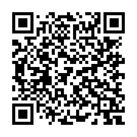 QR code for 038NLP