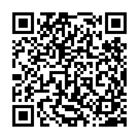QR code for 049TIS