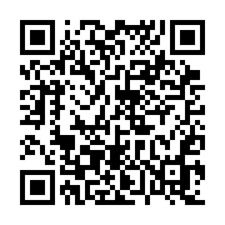 QR code for 063CEO