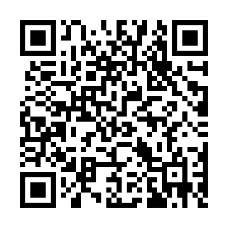 QR code for 101ZZO