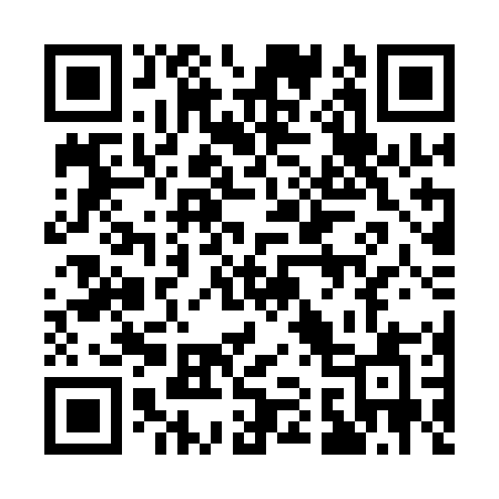 QR code for 111QOA