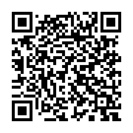 QR code for 113MMT