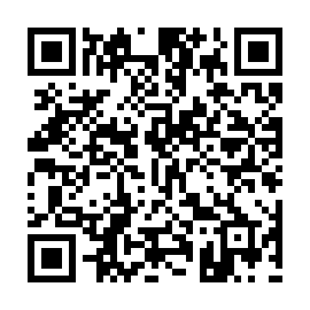 QR code for 119CHP