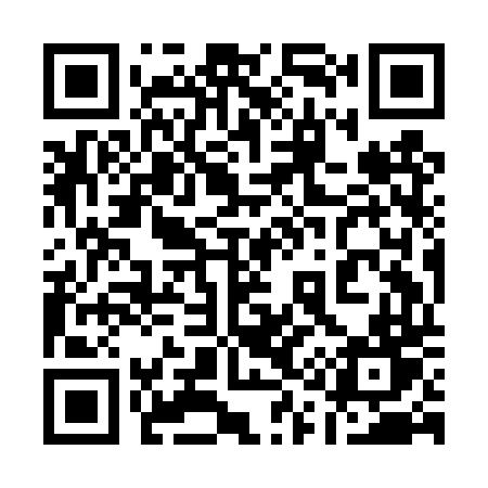 QR code for 119DTT
